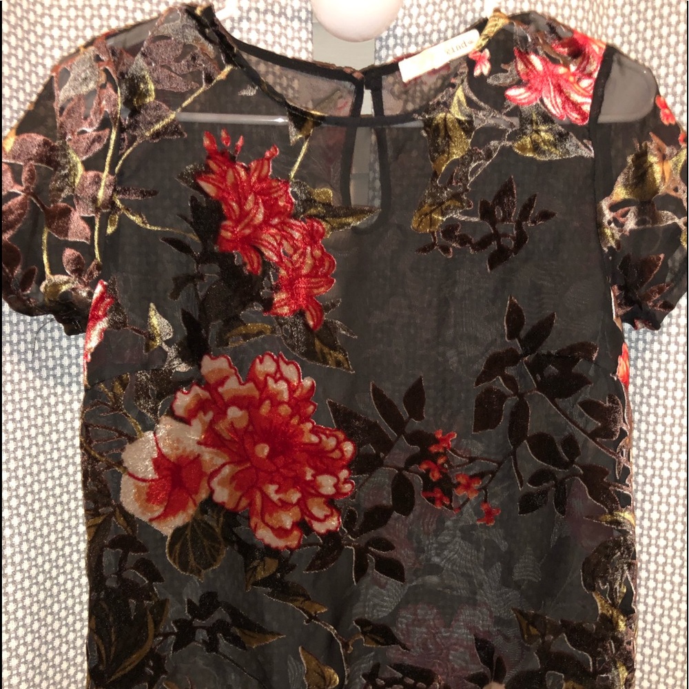 Decree see through top